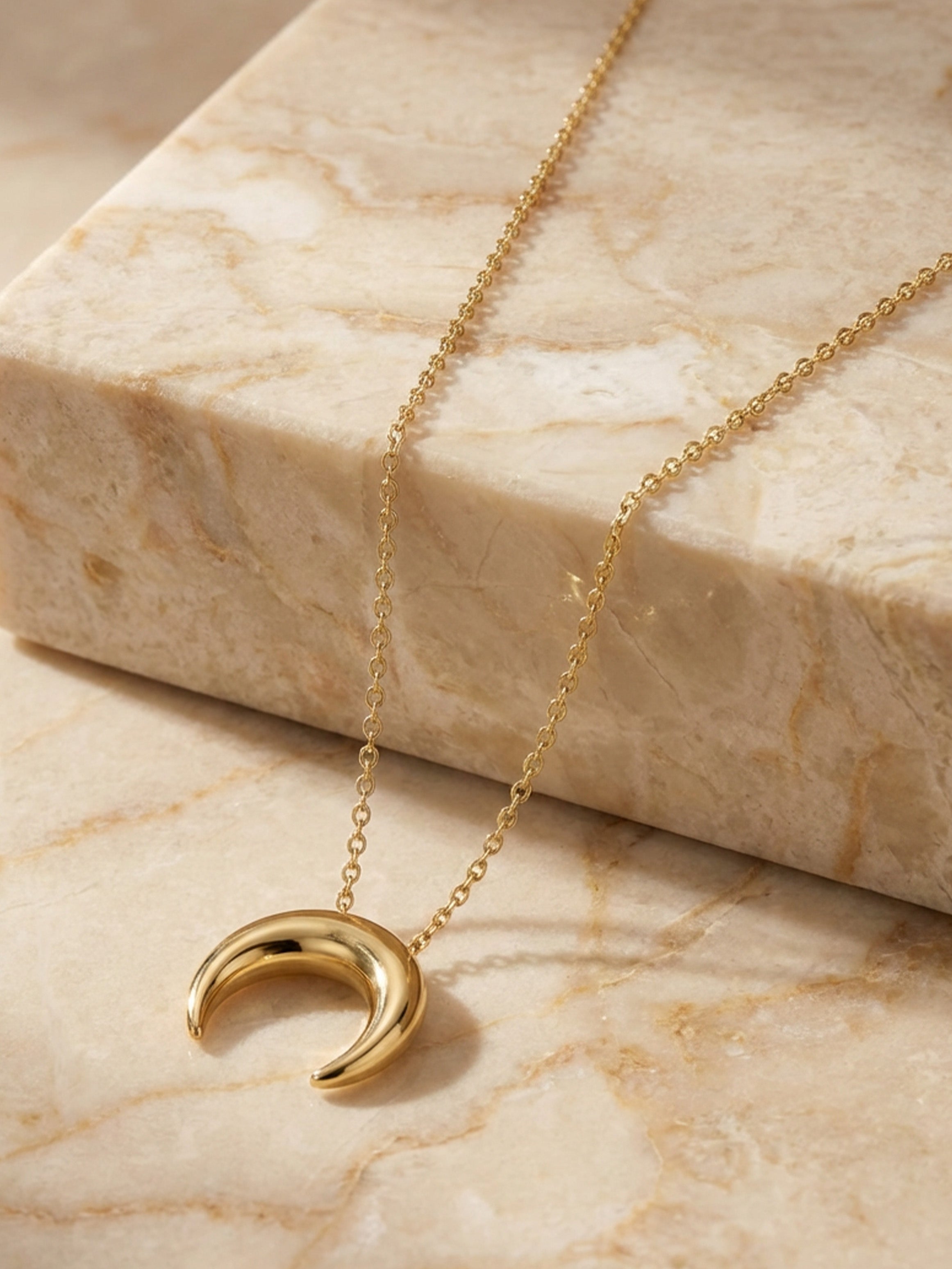 Small Horn Necklace