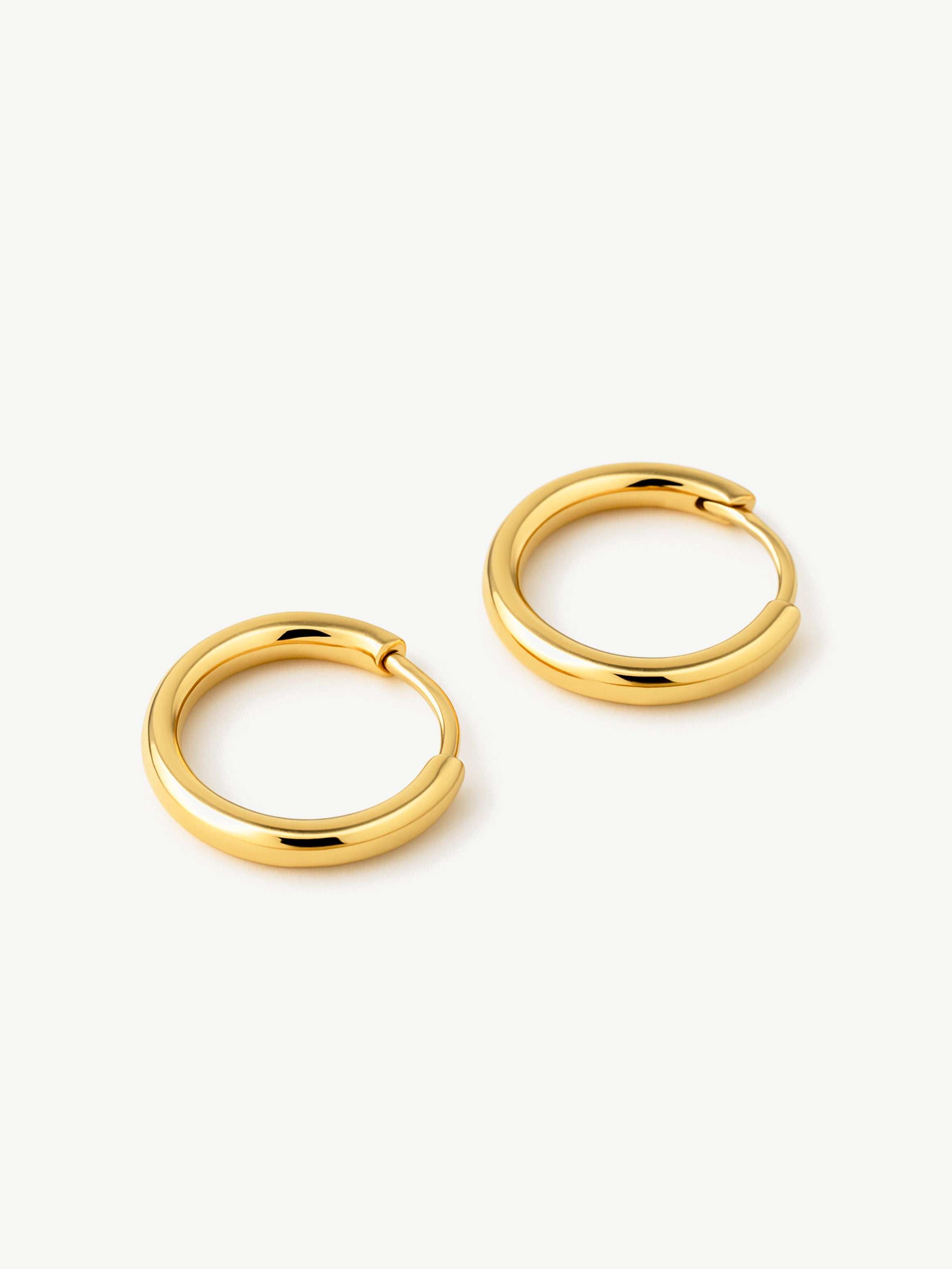 Small Hoop Earrings