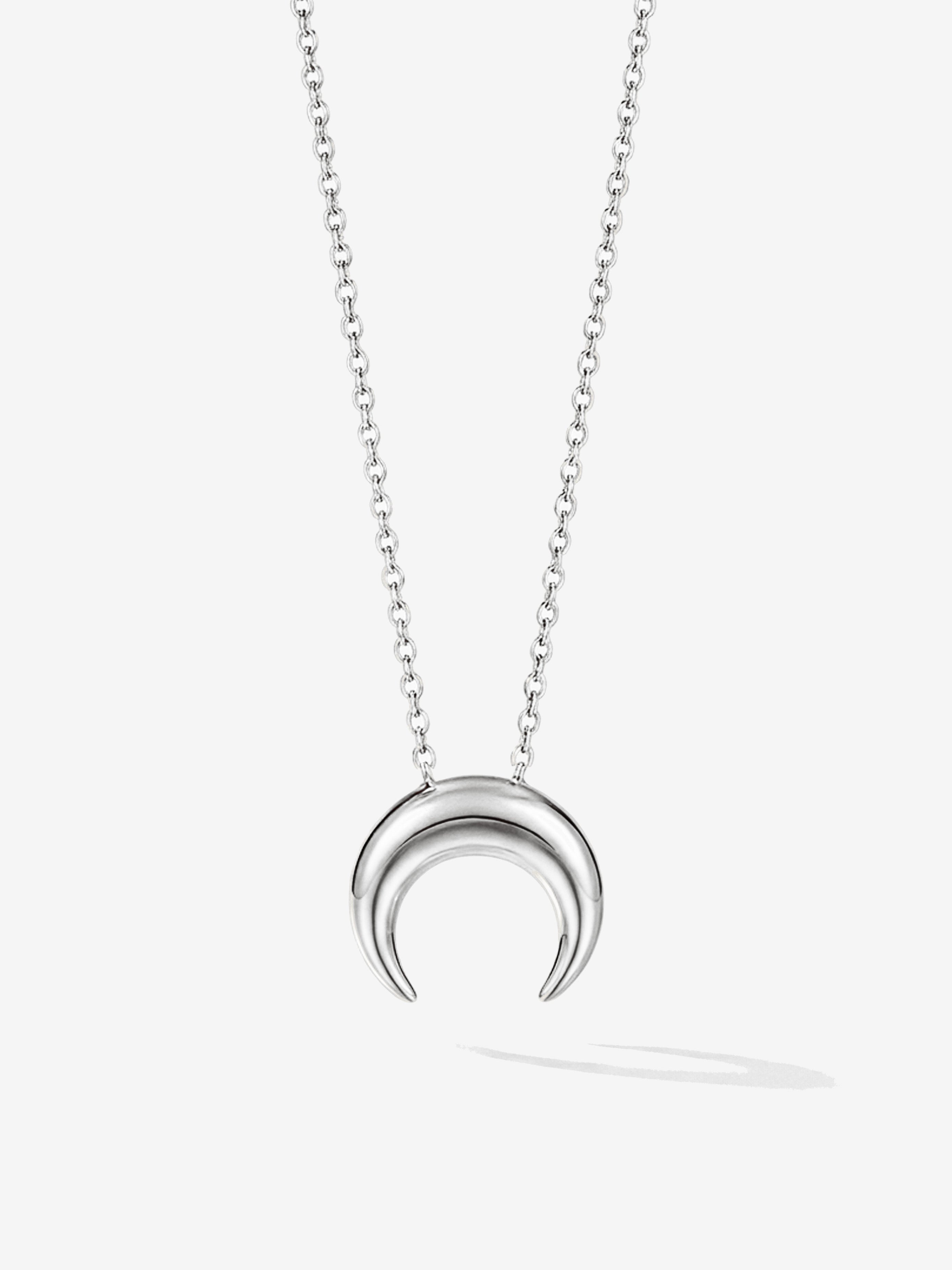 Small Horn Necklace